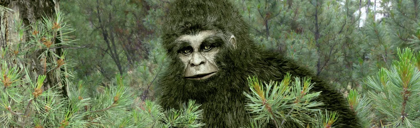 Why There Is Suddenly A Thriving Market For Bigfoot Erotica