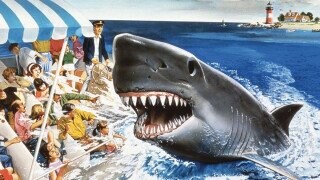 A Man Was Almost Eaten By The Shark From ‘Jaws’ ... The Ride