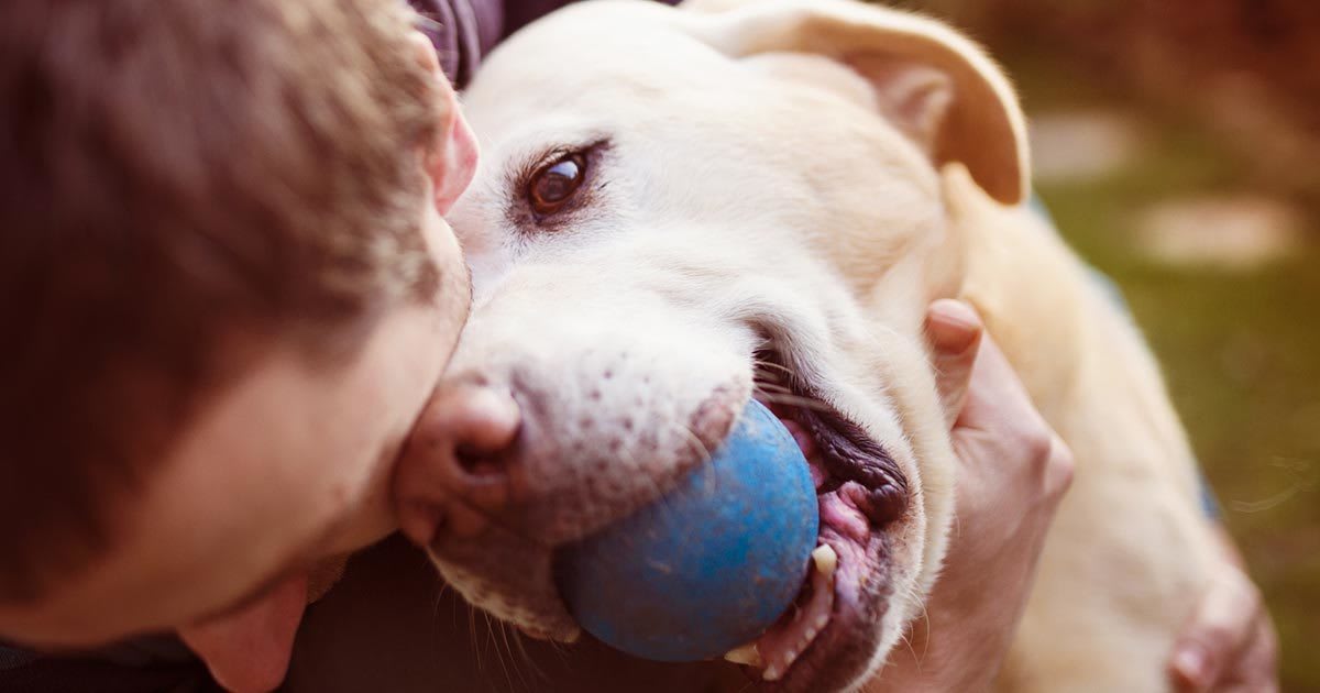 How Our Pets Have Evolved To Emotionally Manipulate Us