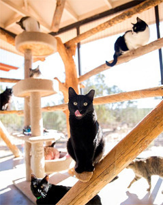 The 5 Actual Happiest Places On Earth