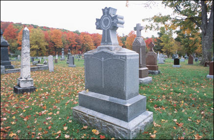 The Only Argument on the Internet in Favor of SOPA