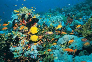 5 World-Changing Trends That Will Transform Pop Culture