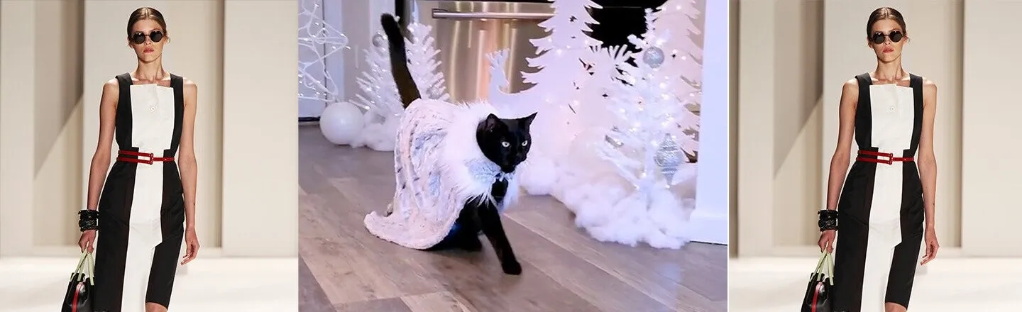 This TikToker Is Revolutionizing Feline Fashion By Putting Cats on the Catwalk