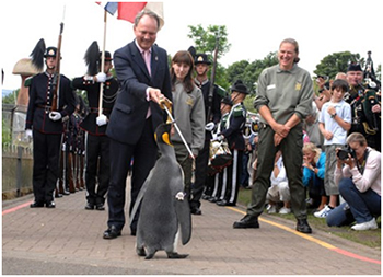 5 Heartwarming Stories From History Among All The Horror