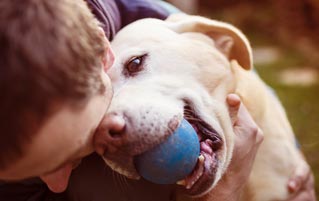 How Our Pets Have Evolved To Emotionally Manipulate Us