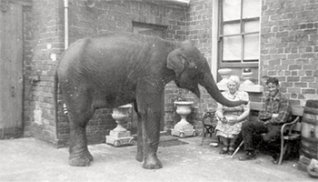 5 Heartwarming Stories From History Among All The Horror