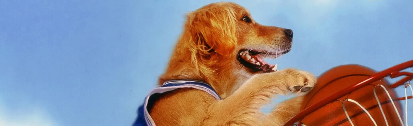 6 Animals Who Tried to Pull An Air Bud With Varying Degrees of Success