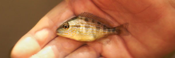 5 World-Changing Trends That Will Transform Pop Culture