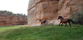 The 5 Actual Happiest Places On Earth