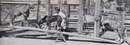 5 Images Of Kids Too Badass To Be Real (That Totally Are)