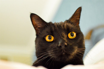 6 World-Changing Ideas Ignored For Stupid Reasons