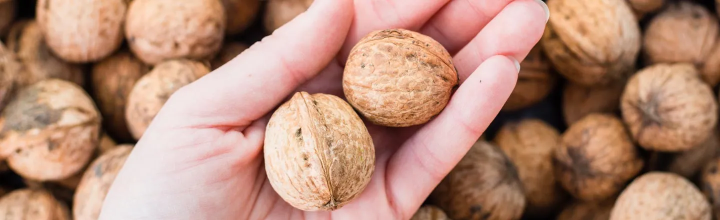 Nuts Will Make You A Sexual Dynamo, Says Nut Industry