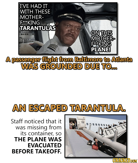 The 13 Most Insane Things Happening Right Now (10/6)