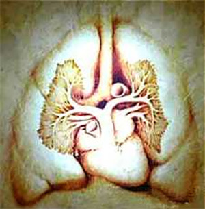 6 World-Changing Ideas Ignored For Stupid Reasons