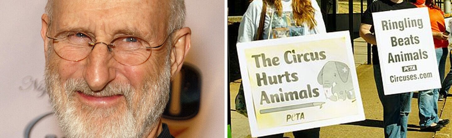 Celebrity Activists Need To Break Up With PETA