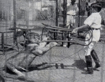 5 Images Of Kids Too Badass To Be Real (That Totally Are)