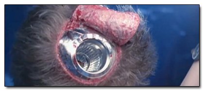 8 Movie Special Effects You Didn't Know Weren't CGI: Classic