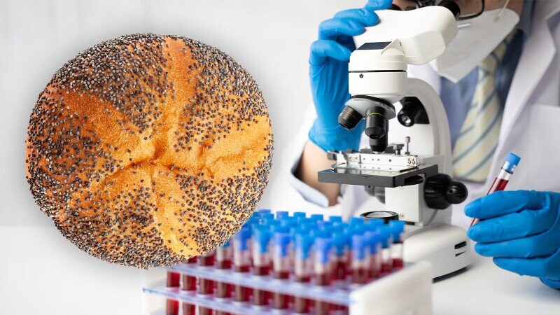 Here’s Exactly How Many Poppy Seeds Will Make You Fail A Drug Test