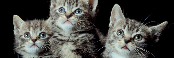 5 Popular Jokes That Only Make People Want to Punch You