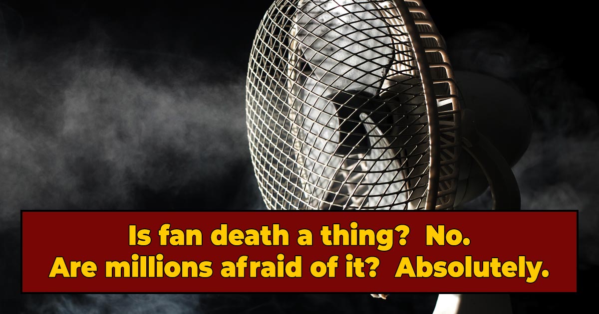 A Brief History Of South Korea's Weirdest Urban Legend: Killer Fans ...