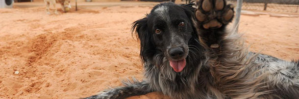 The 5 Actual Happiest Places On Earth