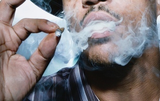 how long does it take to cure tobacco How to Grow, Harvest and Cure Tobacco how long does it take to cure tobacco How to Grow, Harvest and Cure Tobacco