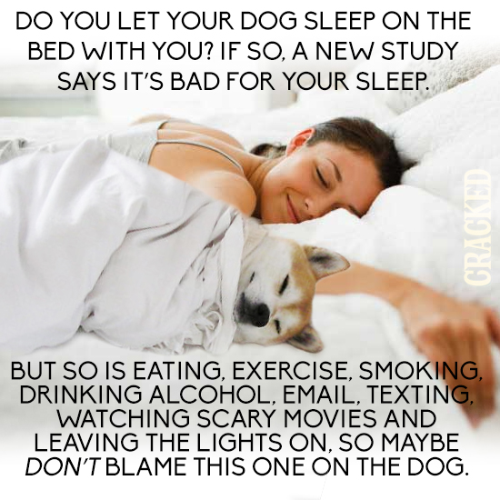 DO YOU LET YOUR DOG SLEEP ON THE BED WITH YOU? IF SO, A NEW STUDY SAYS IT'S BAD FOR YOUR SLEEP. CRACKED BUT SO IS EATING, EXERCISE, SMOKING. DRINKING 