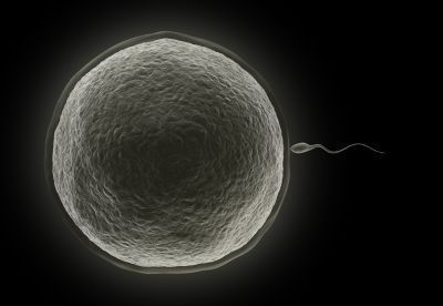 5 Reasons You Should Be Excited About Mars Today