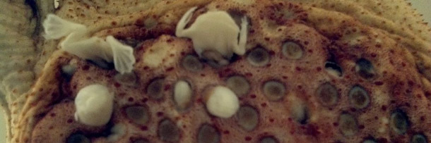 5 Tiny Animals That Deserve Their Own Horror Movie