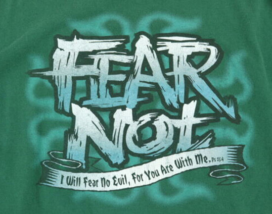 Vintage 90s Vintage No Fear Shirt like Blind Skateboards Hook Ups