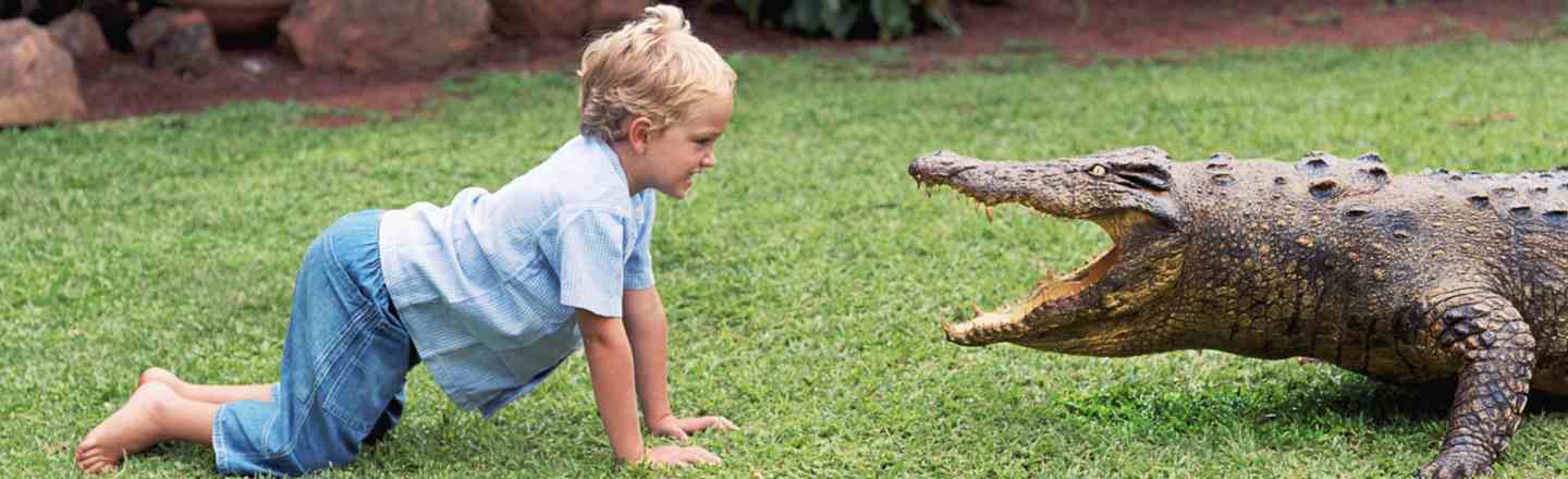 6 Techniques For Attacking Animals With Children