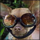 CRACKED ROUND-UP: Crotch Rot Awareness Edition