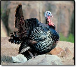 6 Terrifying Things Nobody Tells You About Donating Sperm