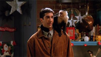 Ross and marcel