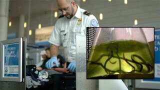 12 of the Most Ridiculous Things Seized By TSA
