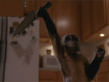 Malcolm in the Middle monkey