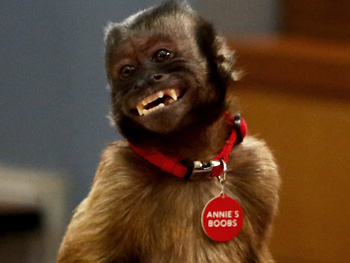 Annie's Boobs, the monkey from community