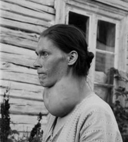 4 Tiny Historical Changes That Made Modern Life Possible