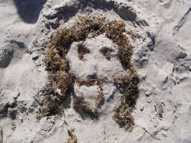 Understanding People Who See Jesus In Burnt Toast