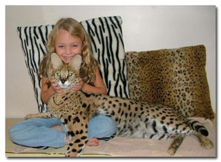 The 5 Coolest Pets Humanity Has Bred Into Existence Classic