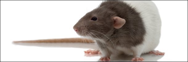 5 Creepy Ways Video Games Are Trying to Get You Addicted