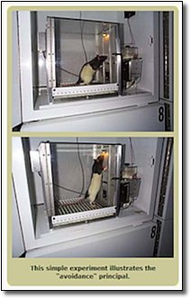 5 Creepy Ways Video Games Are Trying to Get You Addicted