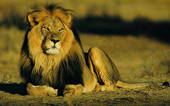 4 Uncomfortable Situations We Should All Be In at Least Once