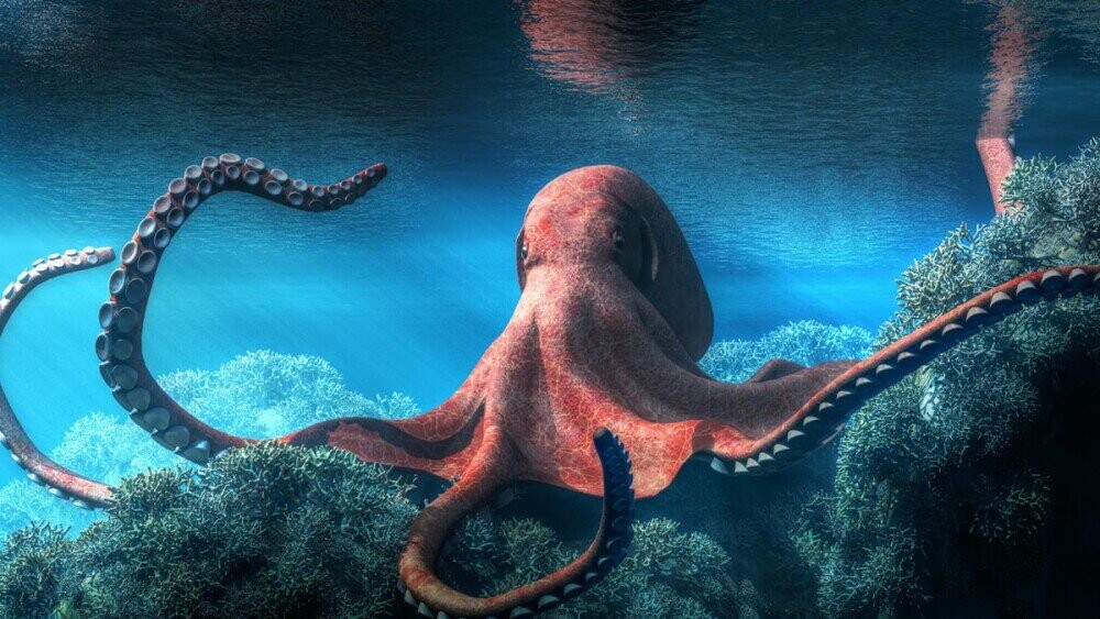 5 Octopus Facts That Prove They're Floating Piles of Superpowers