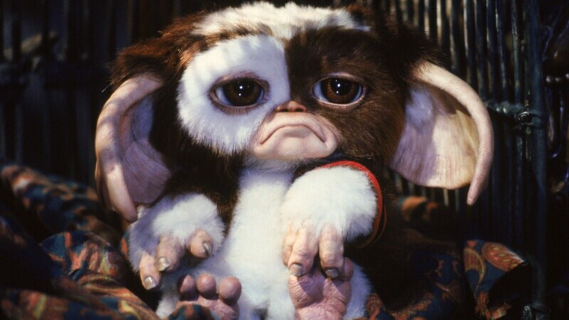Fans Are Already Trashing ‘Gremlins 3’ For Good Reason