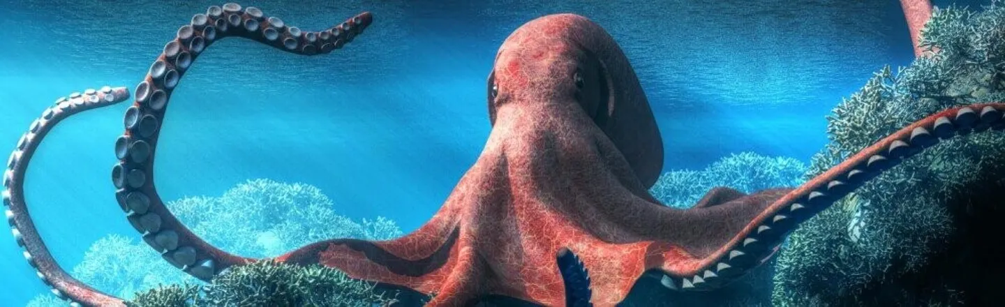 5 Octopus Facts That Prove They're Floating Piles of Superpowers