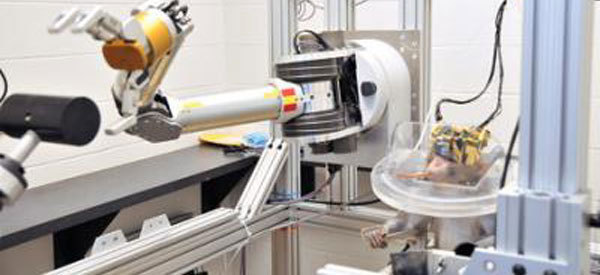 5 Sci-Fi Dystopias We've Actually Created (For Animals)