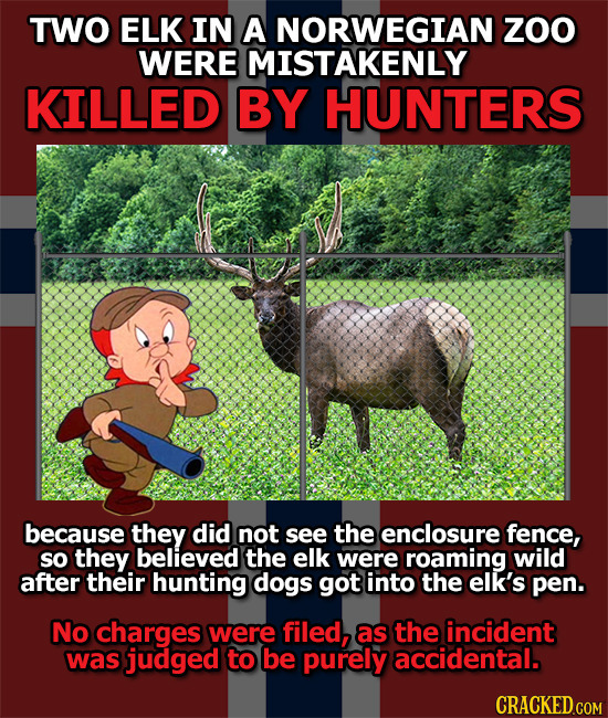 TWO ELK IN A NORWEGIAN Z0O WERE MISTAKENLY KILLED BY HUNTERS because they did not see the enclosure fence, so they believed the elk were roaming wild 