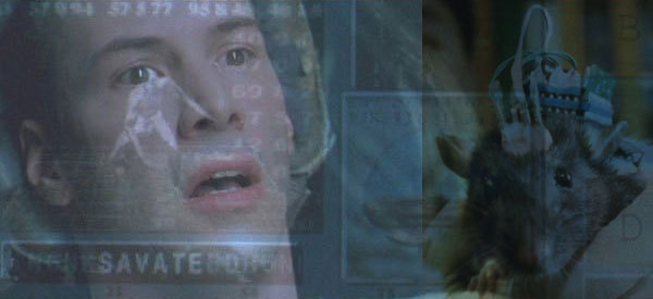 79504 9757 988A SAMATE 