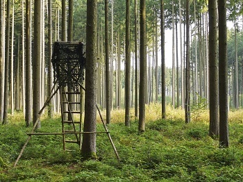 6 Hunters Who Are More Jackass Than Bad Ass